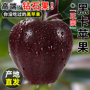 黑卡黑钻苹果水果9斤黑钻红蛇果新鲜当季 脆甜冰糖甘肃圣诞平安果
