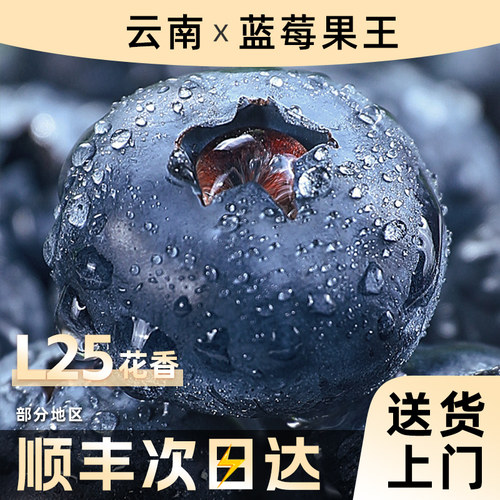 云南蓝莓老树果【热卖TOP商家】