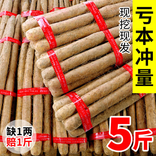 【2025新货】温县垆土铁棍山药
