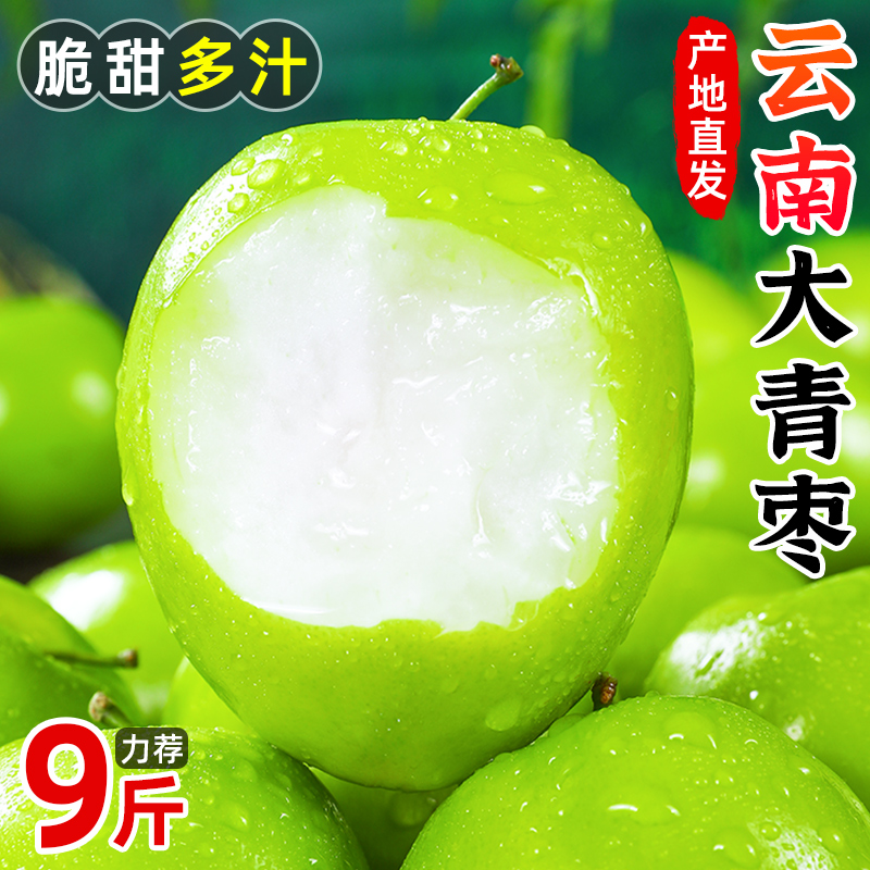 云南牛奶大青枣新鲜水果枣子贵妃冬枣当季整箱奶油脆枣孕妇5包邮