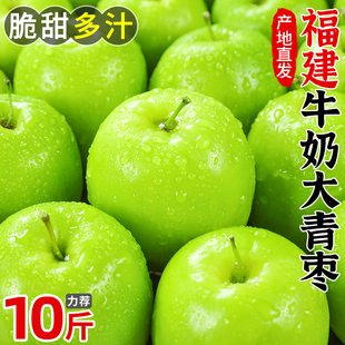 包邮 牛奶大青枣新鲜枣子贵妃枣冬福建时令水果当季 奶油蜜脆枣整箱