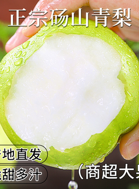 梨子新鲜水果砀山青梨皇冠梨当季翠冠梨香酥脆蜜早雪梨整箱包邮