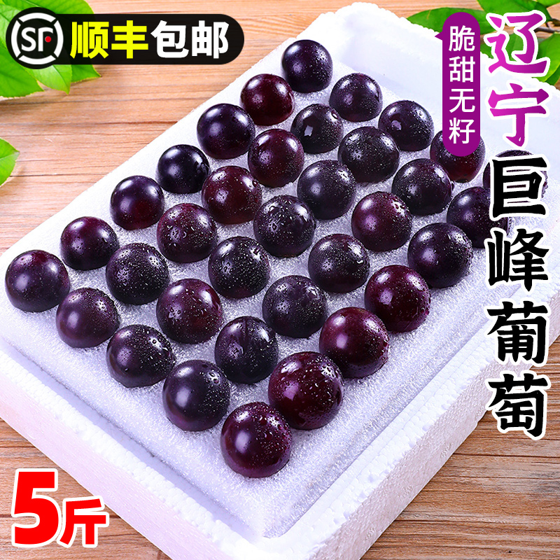 辽宁巨峰葡萄鲜果5斤大颗粒非整串水果新鲜玫瑰红青提子整箱包邮