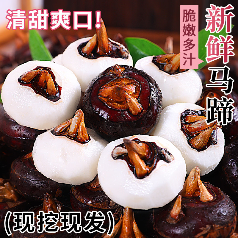 新鲜水果马蹄脆嫩化渣清甜爽口