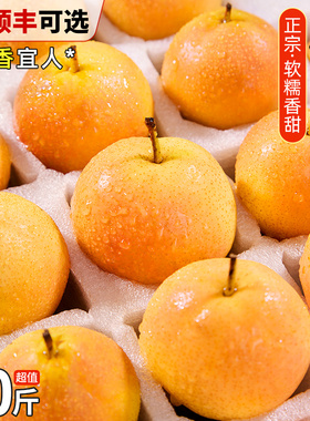 正宗鞍山南果梨10斤酒香梨子南国梨新鲜水果当季东北红皮冻梨包邮