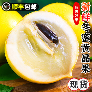 新鲜冬蜜黄晶果5斤云南黄金果当季水果现摘稀有牛奶雅美顺丰包邮3