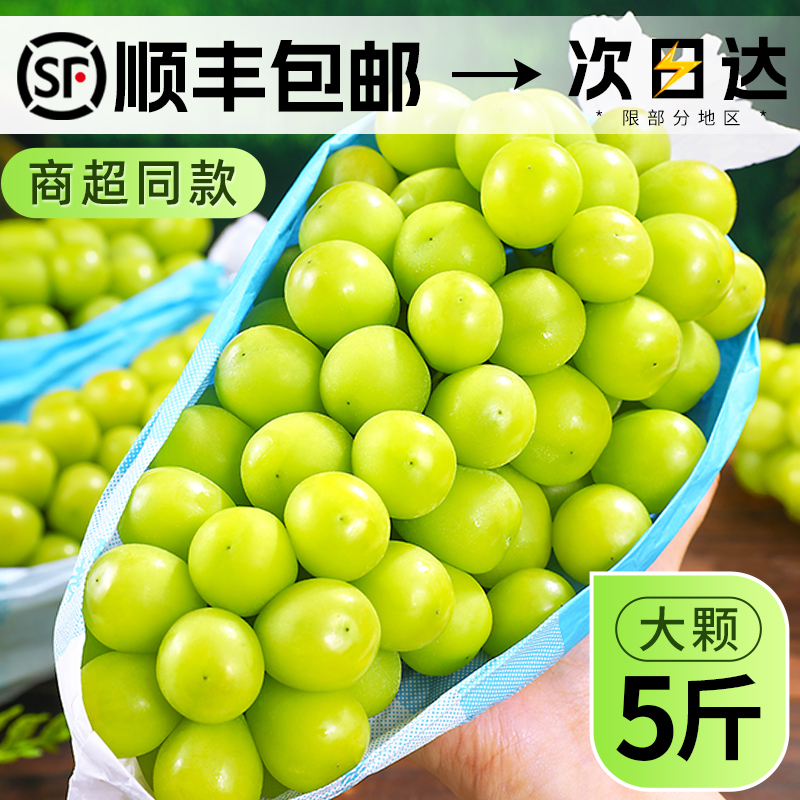 阳光玫瑰葡萄！纯甜无籽青提！