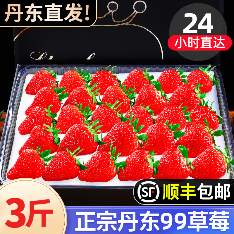 【假一赔十】丹东99草莓产地直发