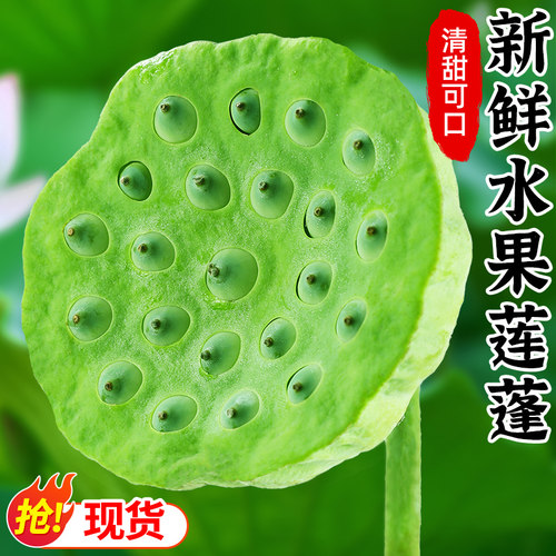 「水果莲蓬」圆润饱满，清香甜嫩