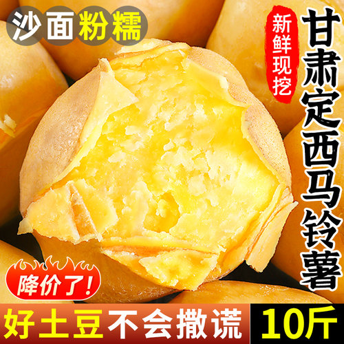 甘肃定西土豆~新鲜现挖~沙面粉糯