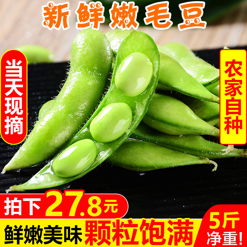 新鲜嫩毛豆5斤农家自种带壳生毛豆角现摘青大豆当季蔬菜整箱包邮