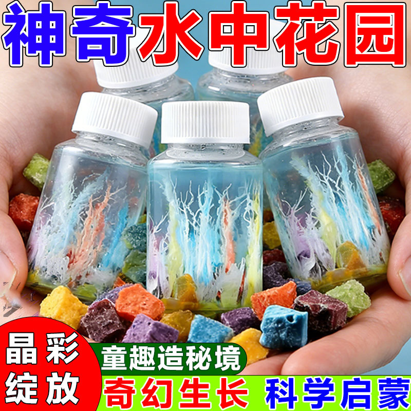 水中花园小学生科学实验玩具