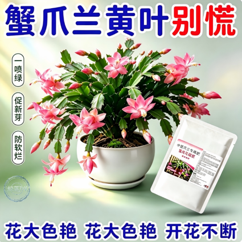 蟹爪兰适用无机缓释花肥生根开花