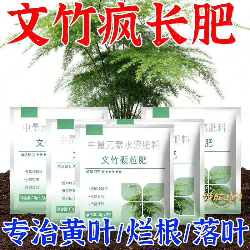 文竹盆栽营养肥防治黄枯干尖