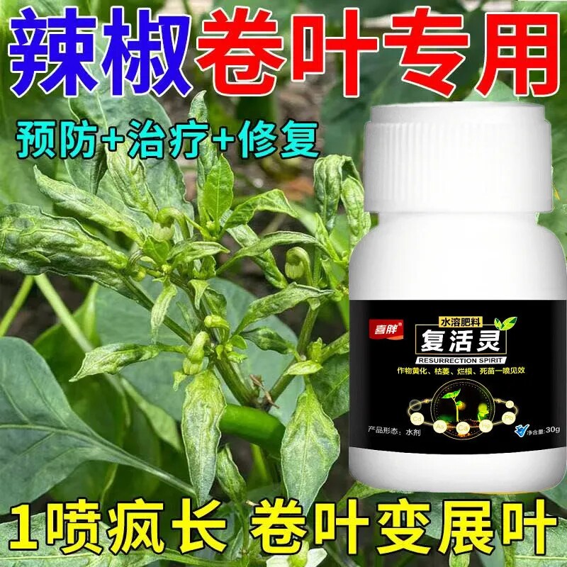 辣椒死苗烂根复活灵黄叶根腐