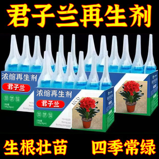 君子兰浓缩再生剂】植物形营养液复苏液花卉绿植盆栽通用光杆发黄
