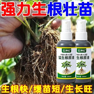 正品爆生根生根原液生根剂猛生根通用型蔬菜果树生根叶面肥液体
