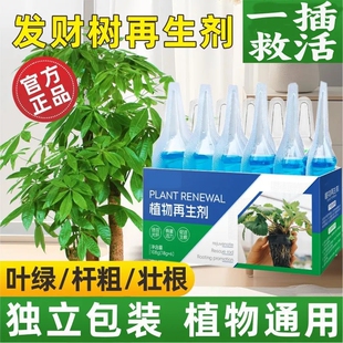 植物再生剂通用型营养液绿植花卉盆栽家庭园艺养花甲醛清除剂长效