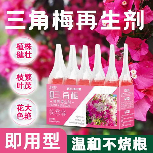 三角梅盆栽水溶肥杀虫剂再生剂