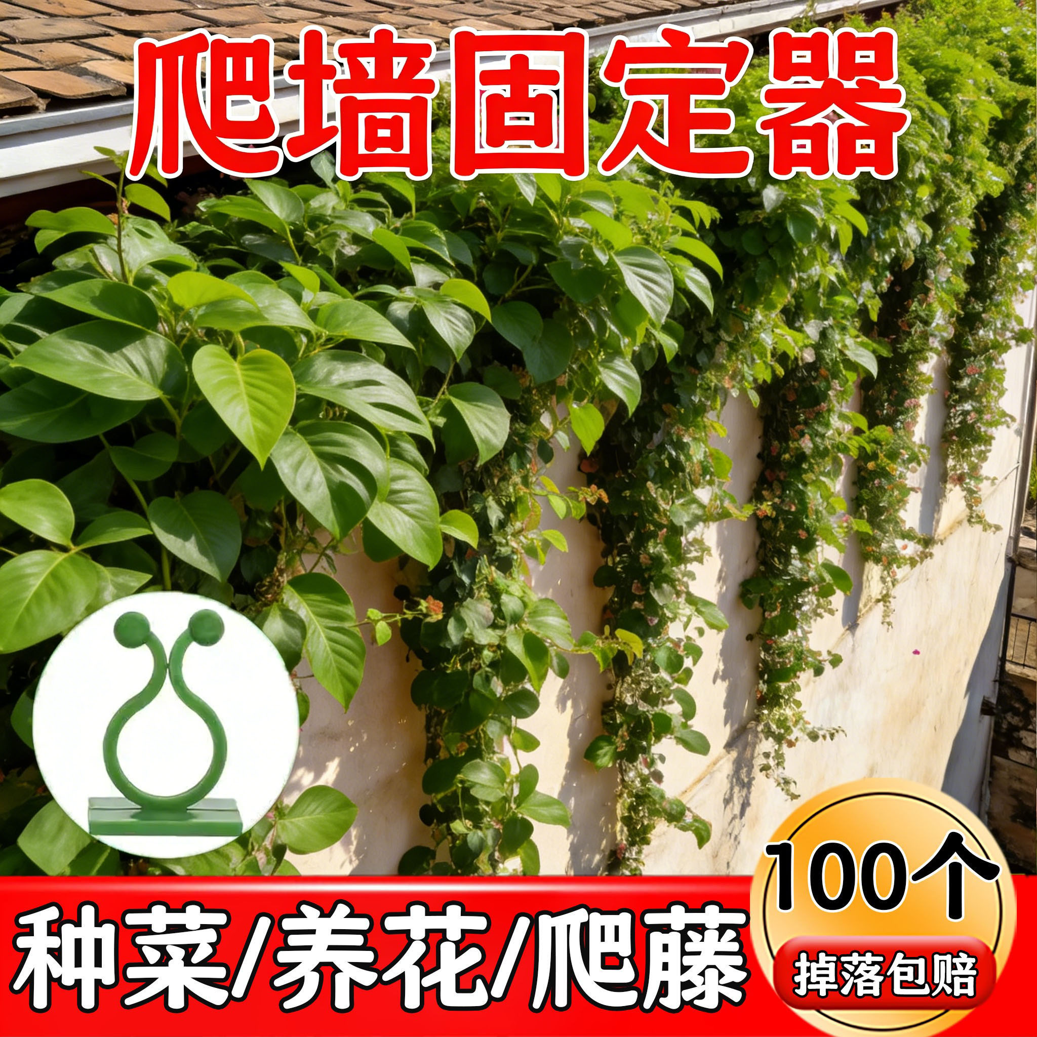 特价绿萝常春藤固定器不留痕不伤藤上固定器花艺材料无痕挂钩养花