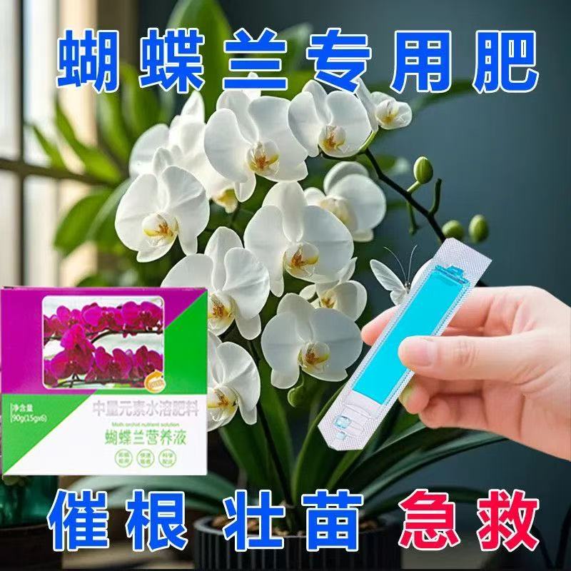 蝴蝶兰再生免稀释营养液