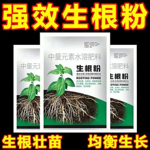 快速生根粉植物通用生根剂扦插用树木烂根死苗弱苗水溶肥料老鼠夹