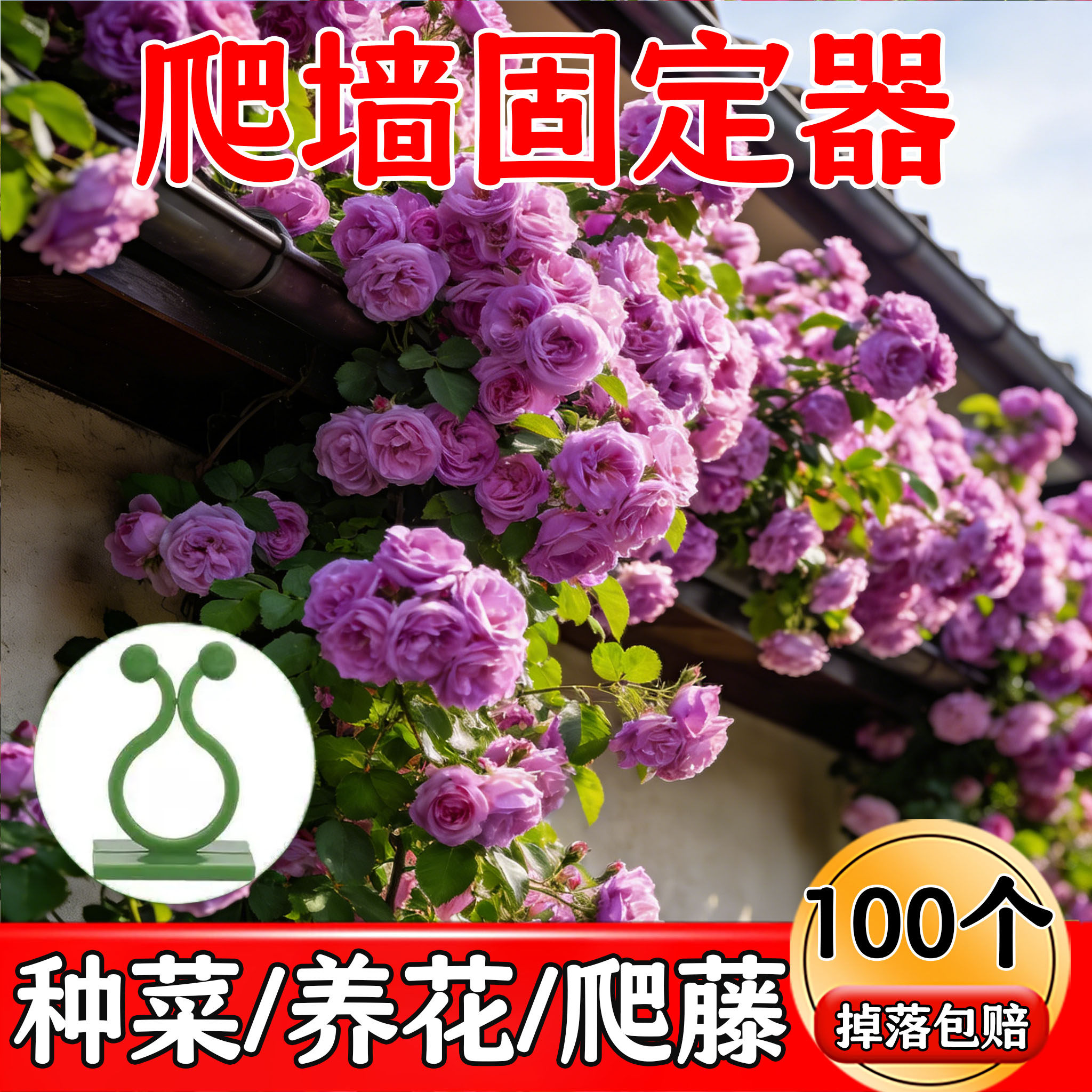 蔷薇月季爬墙固定夹卡无孔悬挂