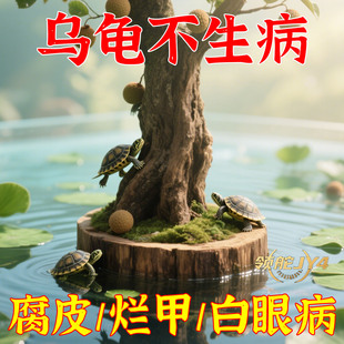 乌龟缸乌龟晒台专用圆形方形龙眼木造景用品水质稳定剂悬浮礼品套