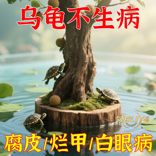 乌龟缸乌龟晒台专用圆形方形龙眼木造景用品水质稳定剂悬浮礼品套