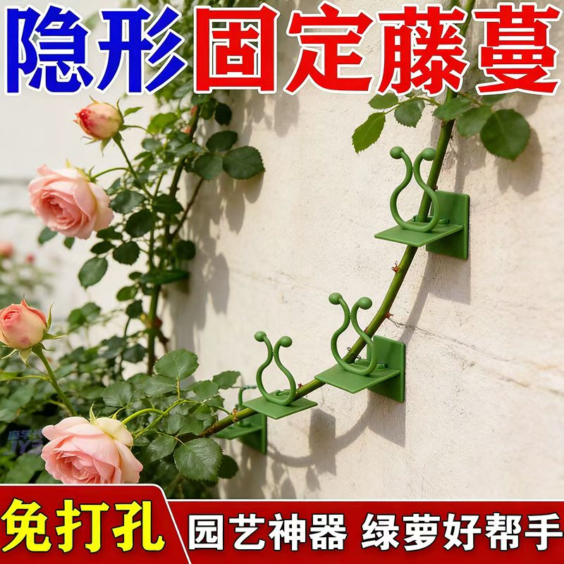 蔷薇月季爬墙固定器】爬墙上固定器绿植攀爬夹墙上无痕花架免安装