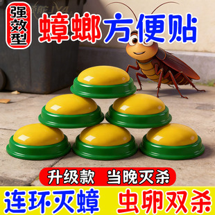 【厚生蟑螂药】家用室内厨房蟑螂小强魔盒蟑螂药强力强效高效灭蟑