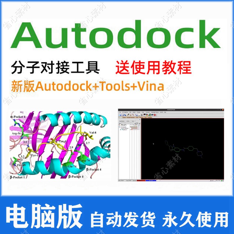 Autodock软件安装包 分子对接 操作送视频教程+文档教程 支持win 商务/设计服务 设计素材/源文件 原图主图