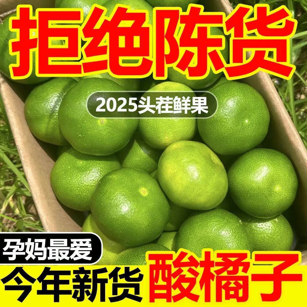 现摘四川薄皮蜜橘新鲜水果当季青桔子