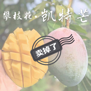 【已下架】凯特芒四川攀枝花当季水果纯甜多汁超大肉厚树上现摘
