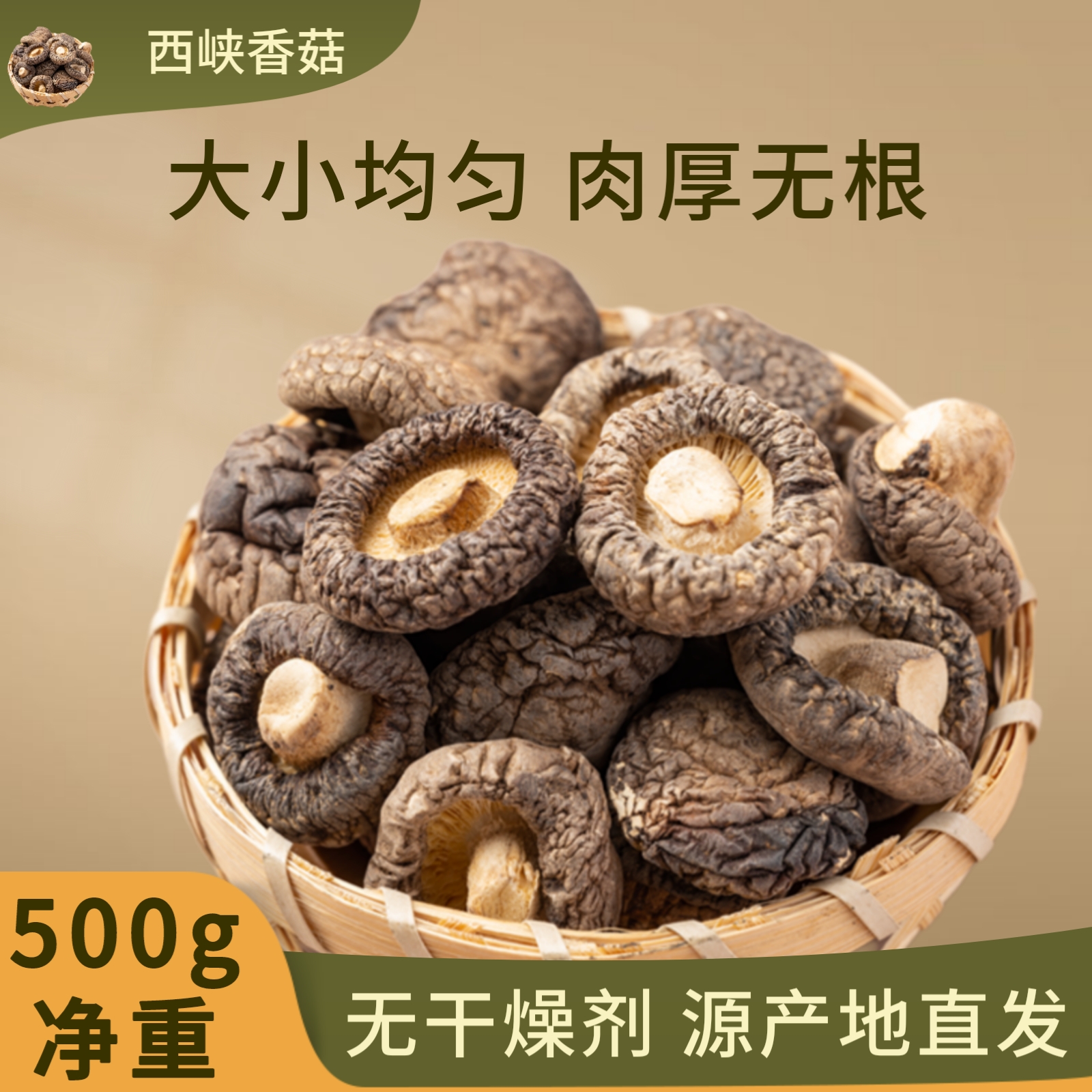 新货西峡香菇纯干优质冬菇500g