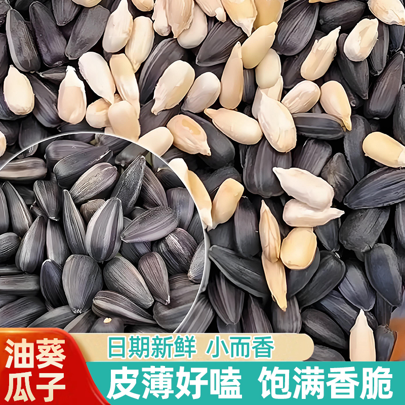 【黑珍珠油葵瓜子】500克新货