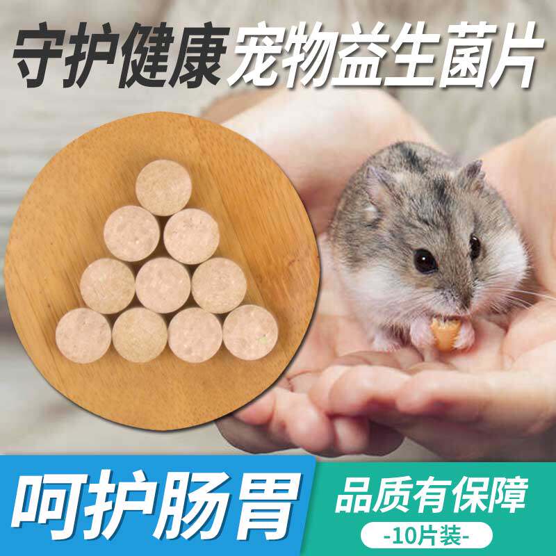 小宠益生菌片仓鼠金丝熊荷兰猪豚鼠兔子龙猫调节肠胃助消化10片装