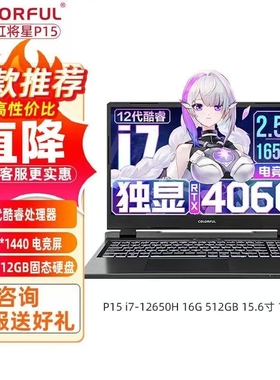 Colorful/七彩虹 隐星 P15 P16 RTX4060独显电竞屏游戏笔记本电脑