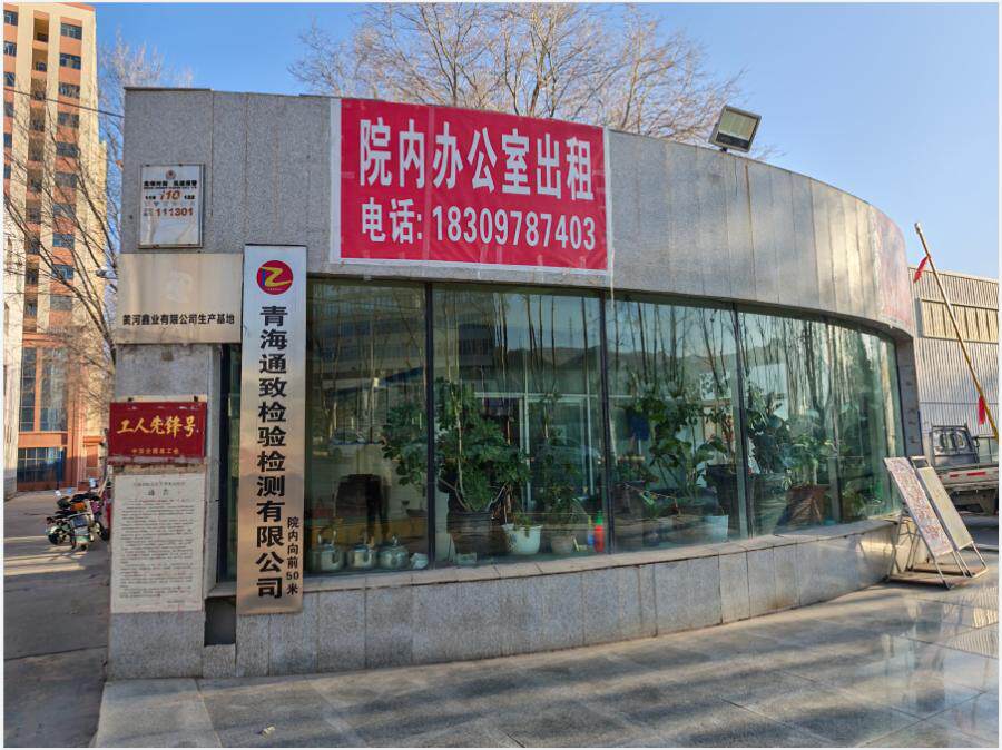 5月31日西宁市东川工业园区国有土地使用权及地上附着物、机器设备网络拍卖公告