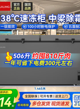 穗凌一级能效冰柜冷藏冷冻大容量
