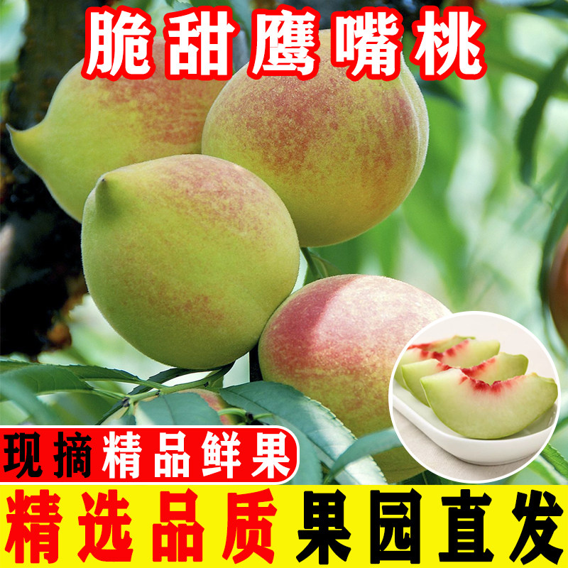 农家现摘特大果脆甜鹰嘴桃