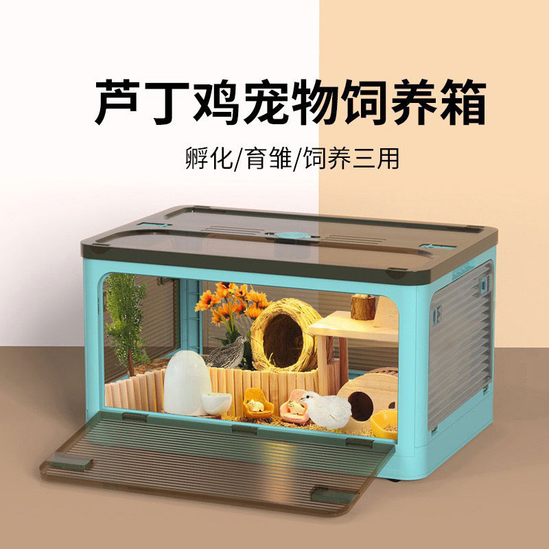 芦丁鸡饲养箱笼子宠物卢丁鸡花枝鼠刺猬房子窝全套观赏笼别墅用品
