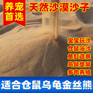沙漠细沙沙子天然细沙沙雕人工沙滩沙漠景观百灵鸟洗澡仓鼠尿批发