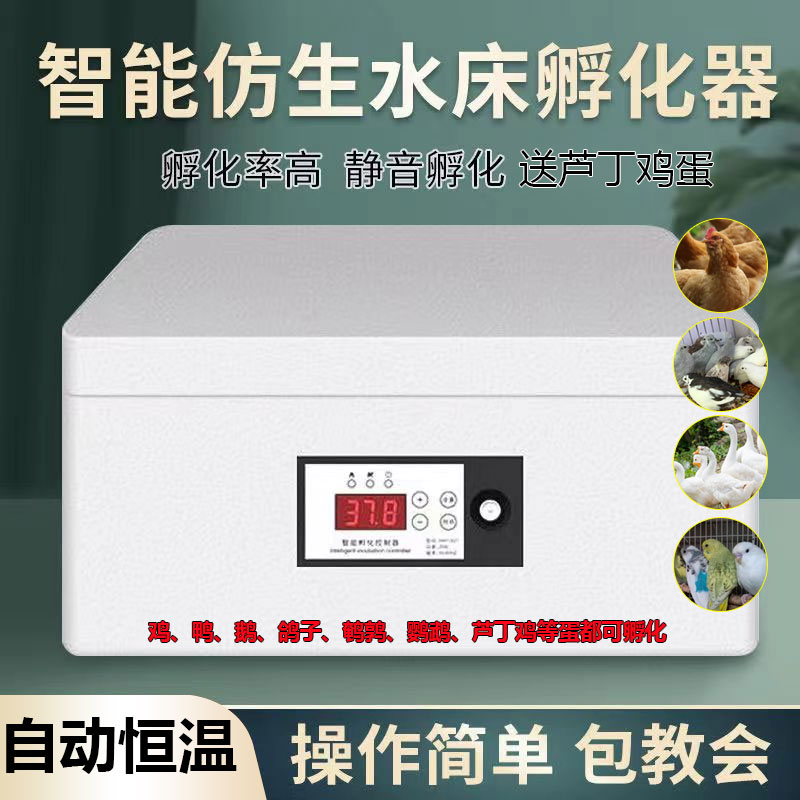 仿生水床全自动恒温孵化器芦丁鸡家用孵蛋器孵化机鸭鹅鹦鹉孵化箱