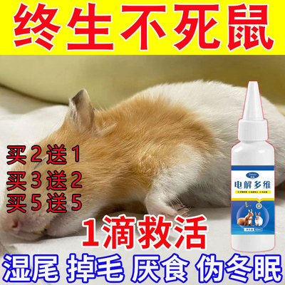 仓鼠兔子呼吸弱不吃喝没活力药水