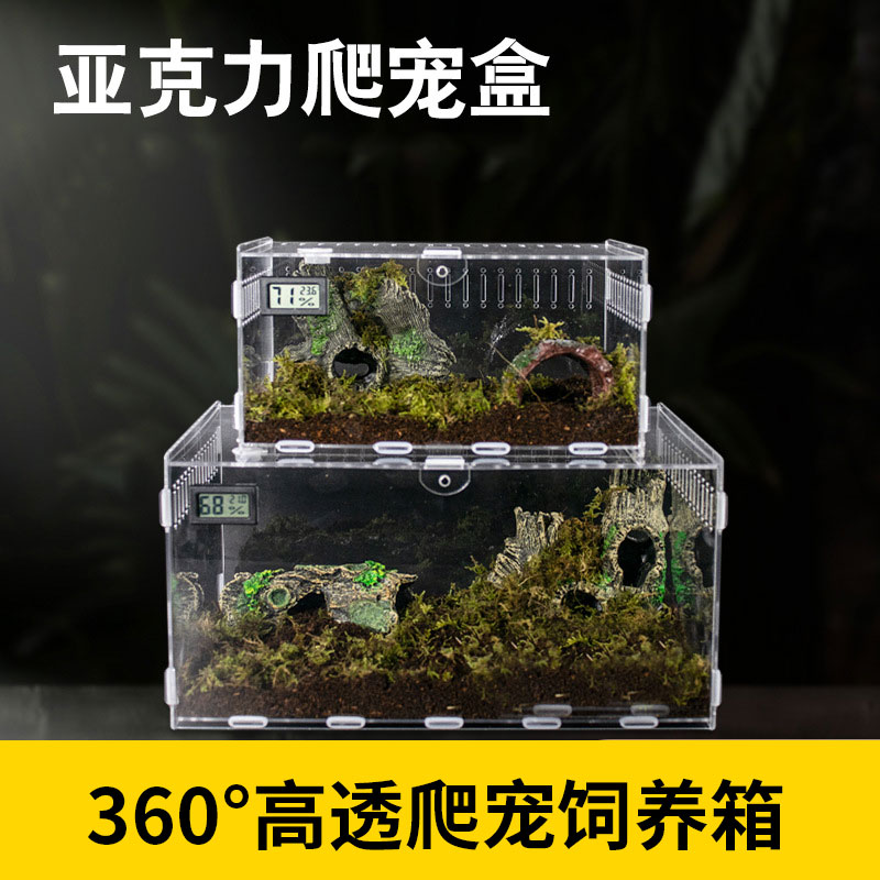 透明亚克力饲养箱爬宠守宫蜥蜴蜘蛛蟹子昆虫宠物蛇造景桌面观赏盒