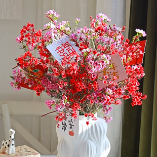 A级澳洲腊梅鲜花真花鲜枝水培云南基地直发年宵花过年喜庆鲜切花