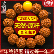 手链 尼泊尔大金刚菩提子五瓣六瓣暴肉双龙核桃文玩手串红黄皮男士