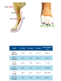 宠物狗犬后腿夹板关节脚掌肘腕骨折固定畸形康复矫正稳定术后绷带