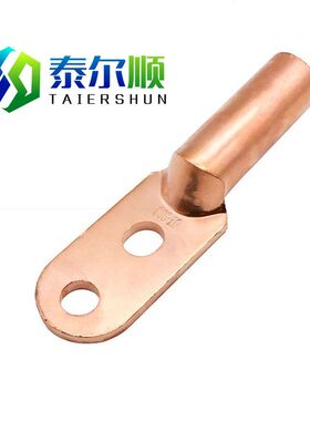 DTS25-300平堵油型紫铜电缆压线耳接线端子双孔铜鼻子镀锡铜接头